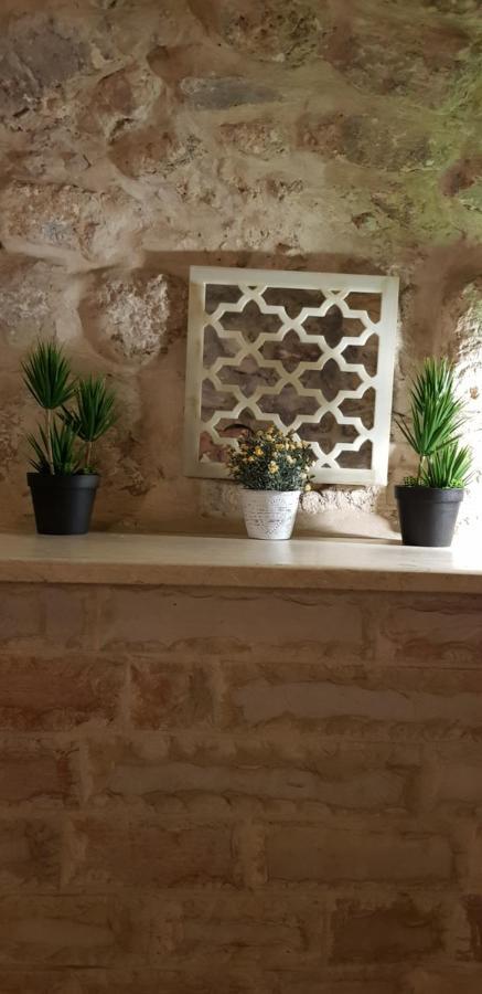 Citadel Youth Hostel Ιερουσαλήμ Εξωτερικό φωτογραφία